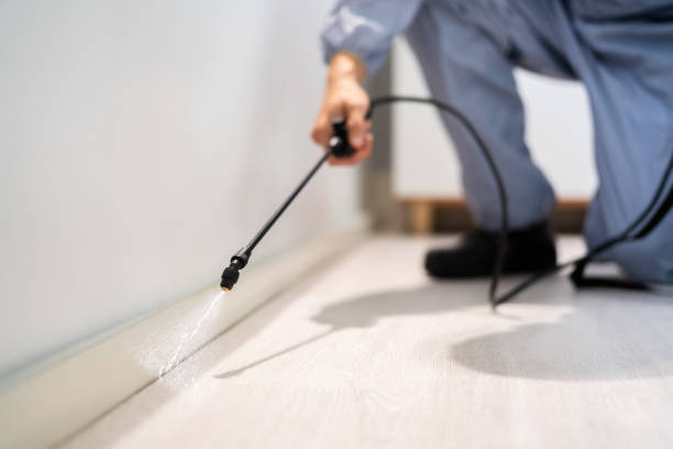 Licensed Pest Control service in Pleasant Hills, MD - Show Me Pest Control
